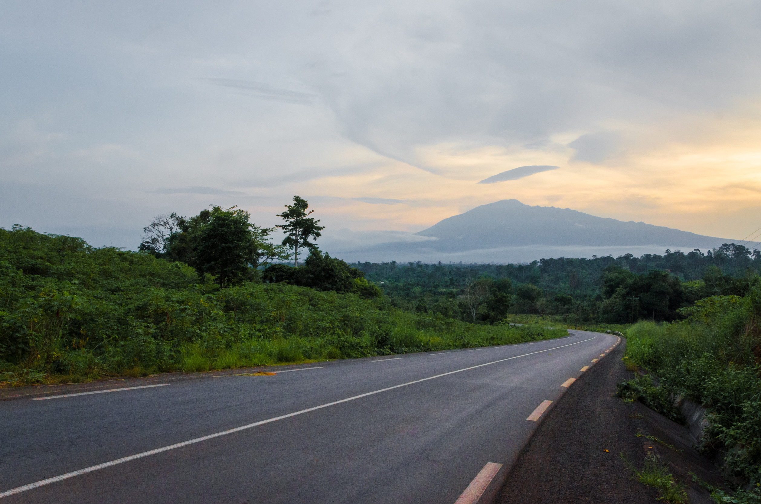 Cameroon Evisa Fees And Processing Times