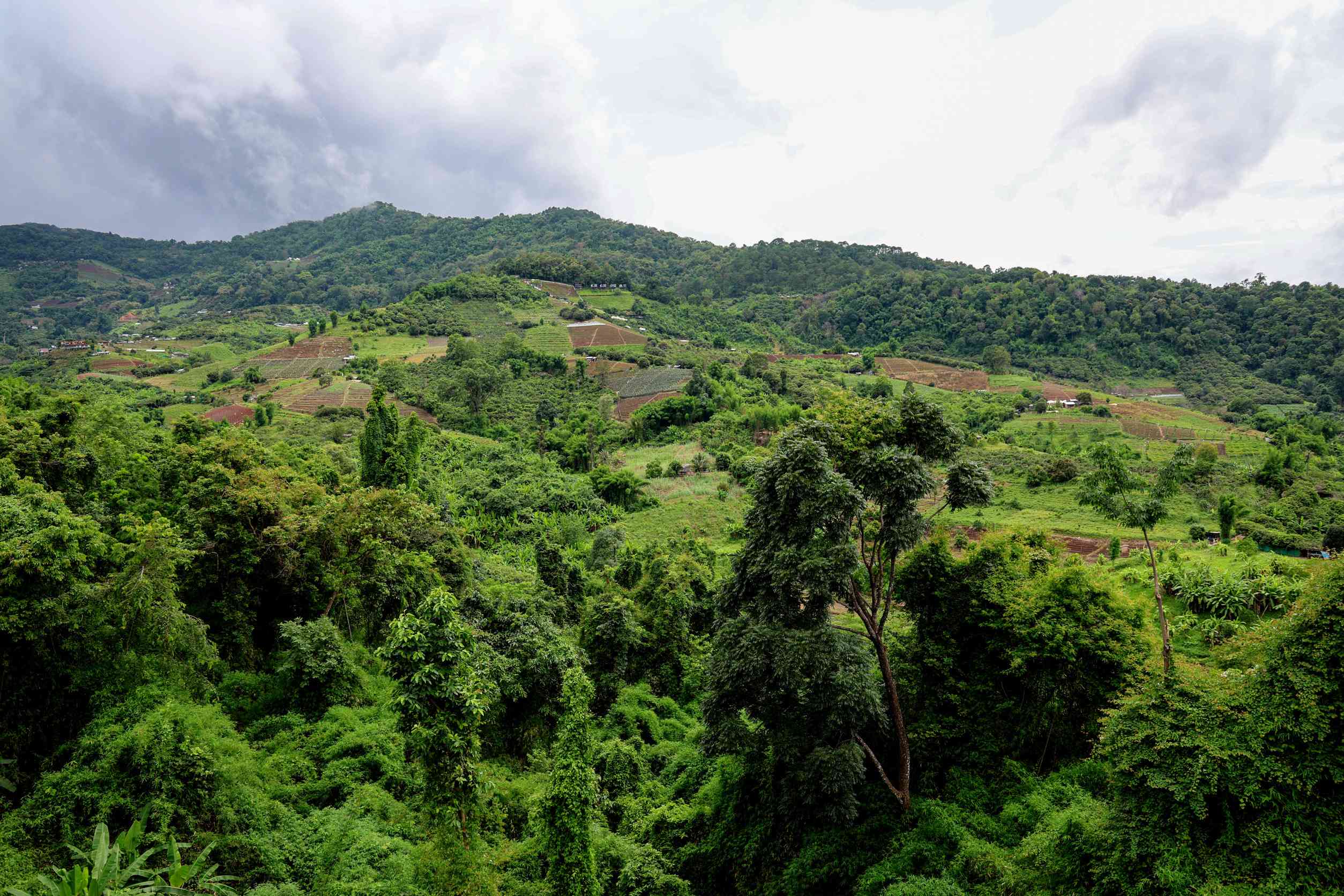 Lush green hills under a cloudy sky