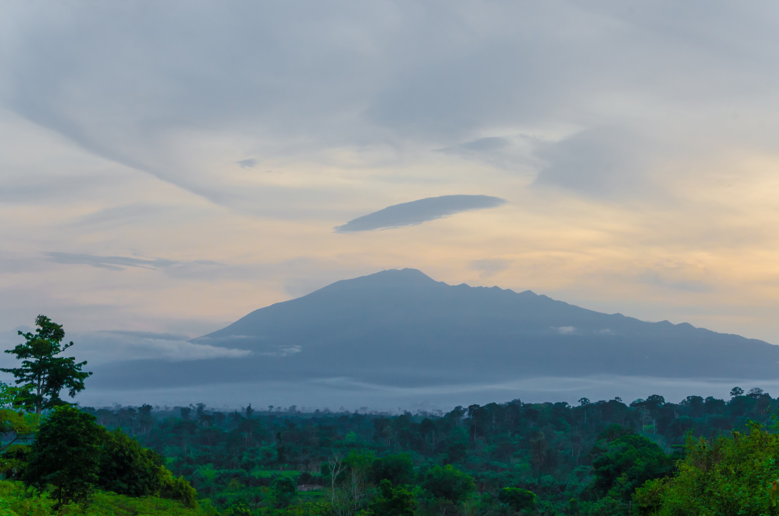Mount Cameroon at dusk with rainforest