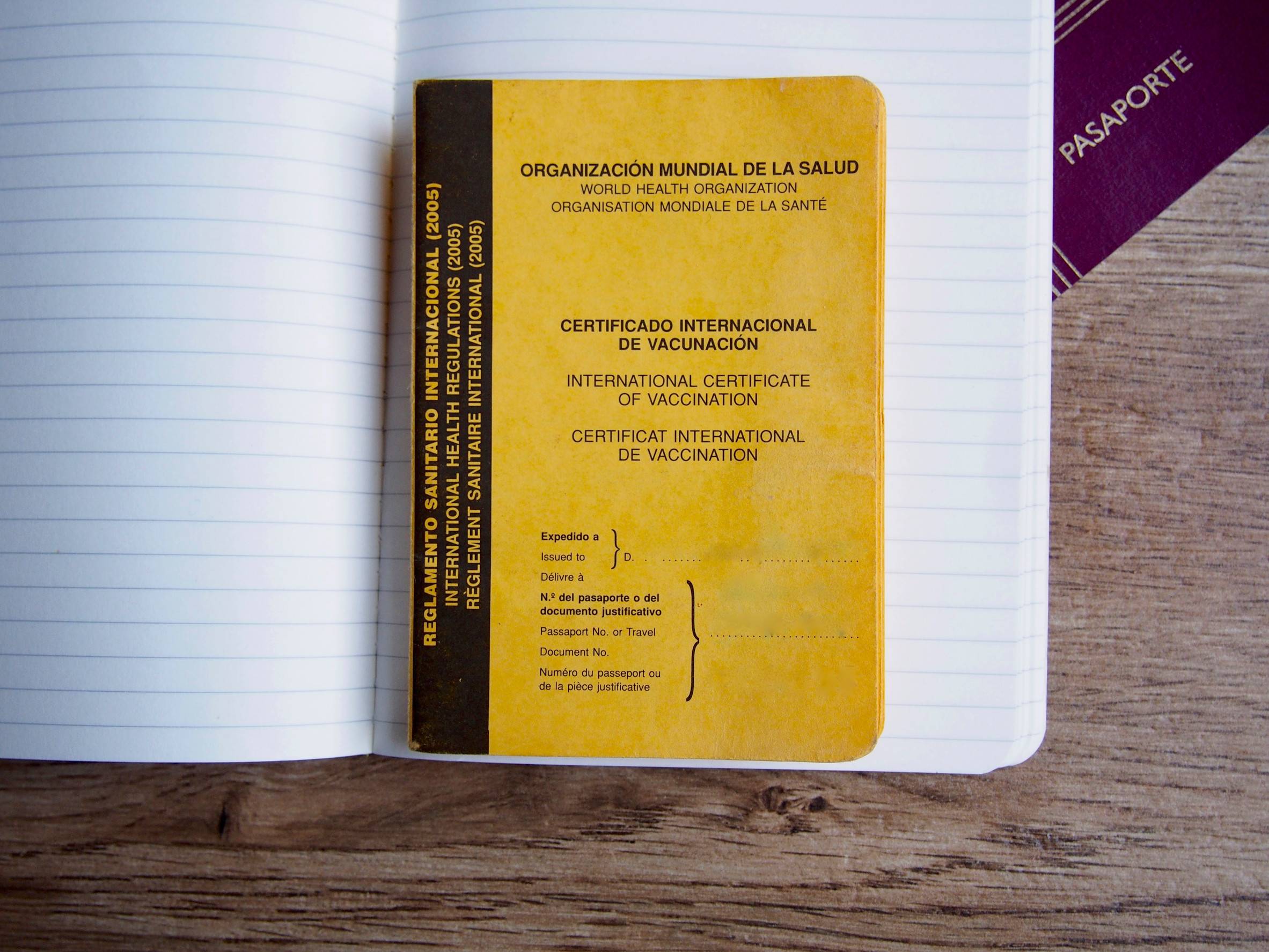 Traveling with Family: Cameroon e-Visas for Dependents